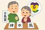 【高齢者向け】冬の花の漢字クイズで盛り上がろう！難読問題をご紹介