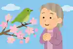 [For seniors] Classic spring kigo: beautiful words that evoke the season