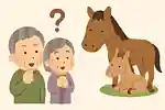 【高齢者向け】馬の豆知識クイズ。意外と知らない生態や雑学で盛り上がろう
