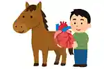 意外と知らない馬クイズ！一般常識から驚きの生態まで楽しく学べる問題集