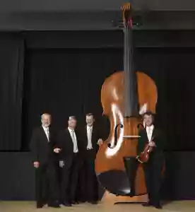 世界最大のバイオリン