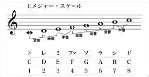 ドレミ
