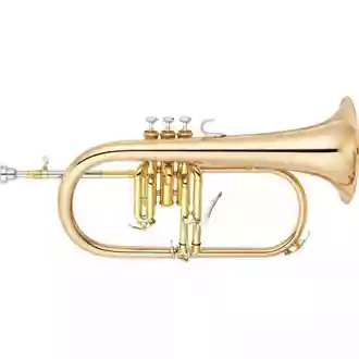 フリューゲルホルン