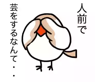 恥ずかしがるとり