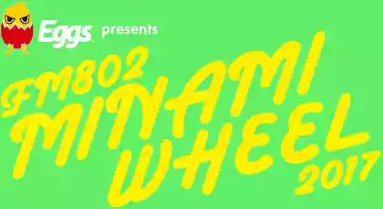 minami wheel