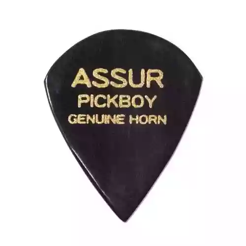 assur_pickboy