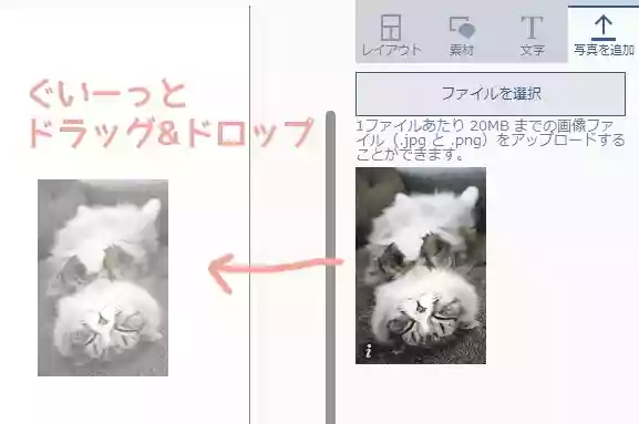 Picky-Pics