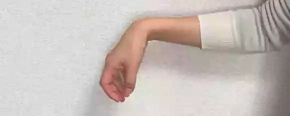 バイオリンの弓の持ち方（手）