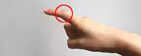 バイオリンの弓の持ち方