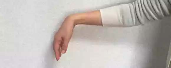 バイオリンの弓の持ち方（手）
