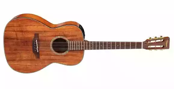 Takamine_PTU431K N