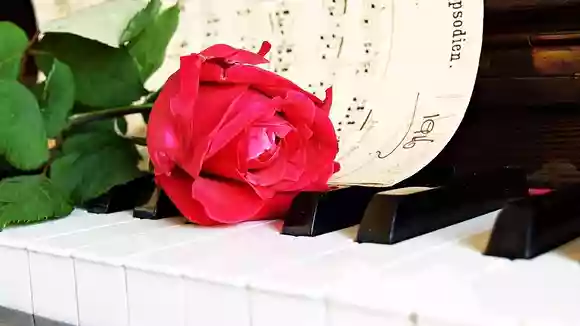 ピアノの先生がBABYMETALを調性で分析。Road of Resistance、Amore -蒼星-他