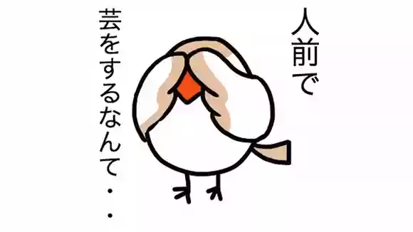 ピアノ発表会は出ないとダメなの？