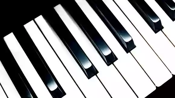 鍵盤