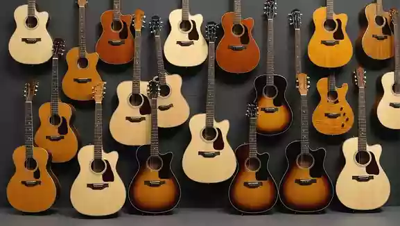 ギターなどの楽器によく使われる木材の種類と特徴