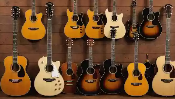 ギターなどの楽器によく使われる木材の種類と特徴