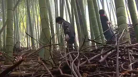 サウンドハウスの新人研修7-1