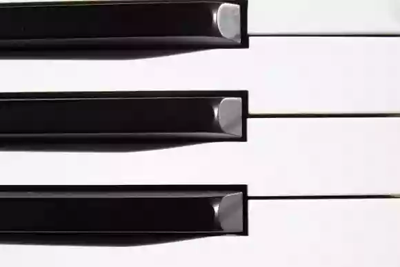 鍵盤