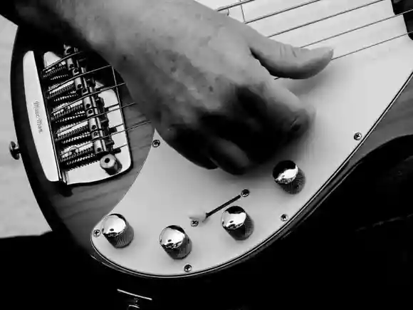 Guitar