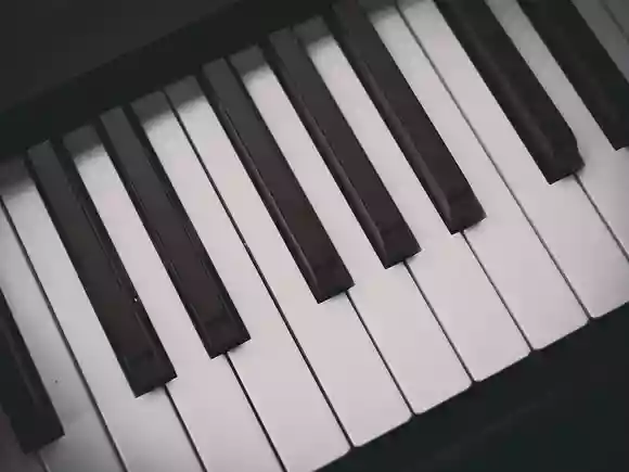 鍵盤