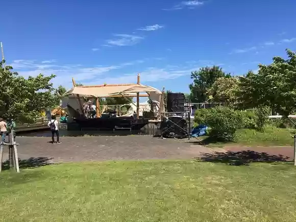 頂
