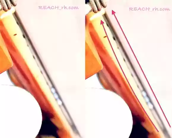 ベースのネックの反り
