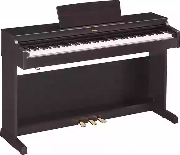 YAMAHA(ヤマハ)|YDP-163