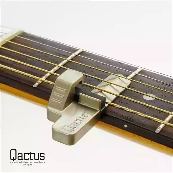 Qactus-カクタス