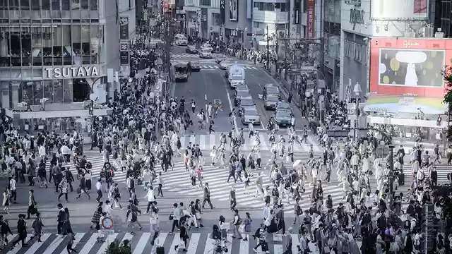 東京の文化祭カレンダー。大学・短大の学園祭日程まとめ【2025】