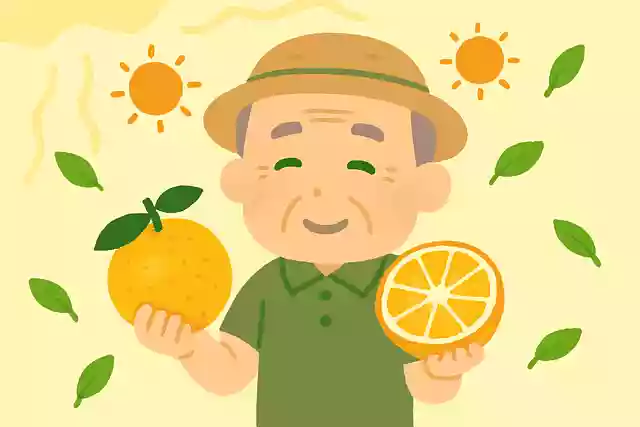 【高齢者向け】夏がテーマの雑学クイズ&豆知識問題まとめ