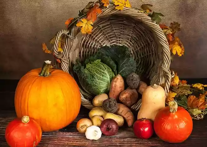 ハロウィンの飾りとして使われる野菜の皮は、なんの野菜のものでしょうか？