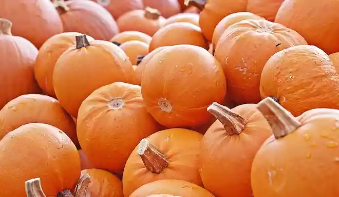 ハロウィンのイメージカラーのオレンジの意味は?
