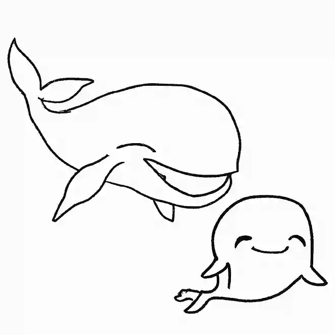 イルカとクジラ