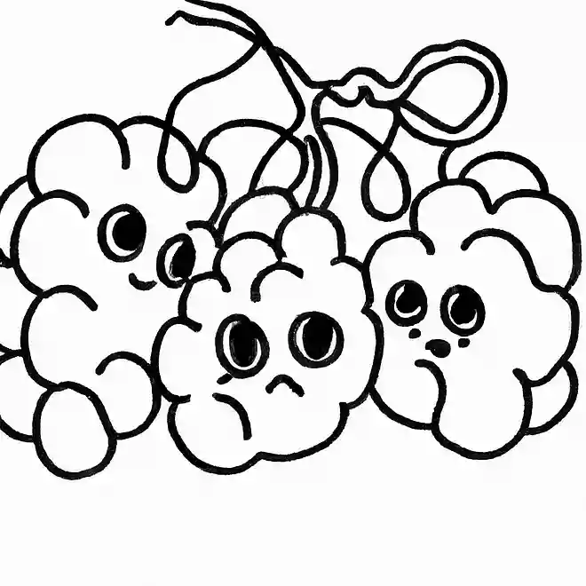 ぶどう