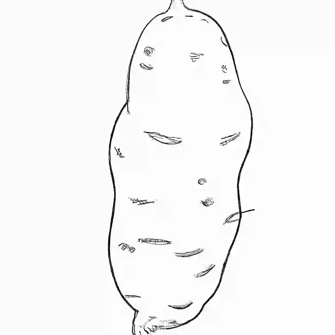 さつまいも