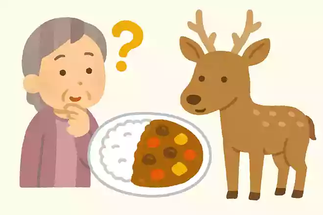 日本初のカレーに、あるものの肉使われていました。何の肉でしょうか?