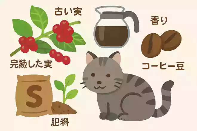 最高級コーヒー豆、コピ・ルアクの原材料は?