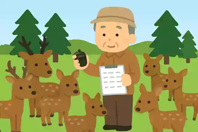 鹿で有名な奈良公園。鹿の数をどのような方法で数えているでしょうか?