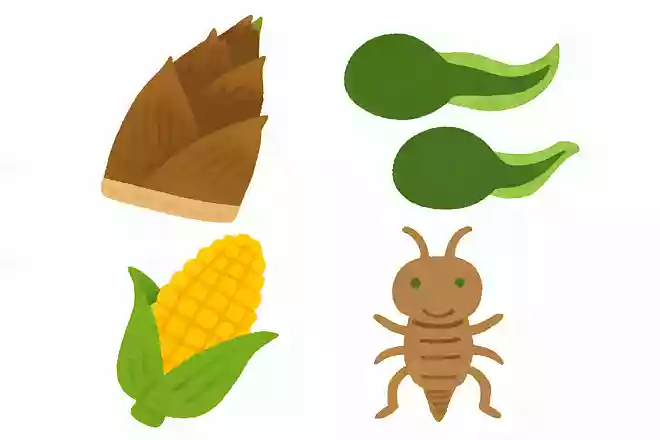 たけのこ、オタマジャクシ、とうもろこし、ヤゴの中で仲間はずれはどれ?
