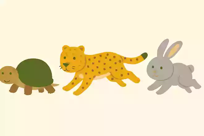 次の動物の中で一番足が速いのはどれでしょう?