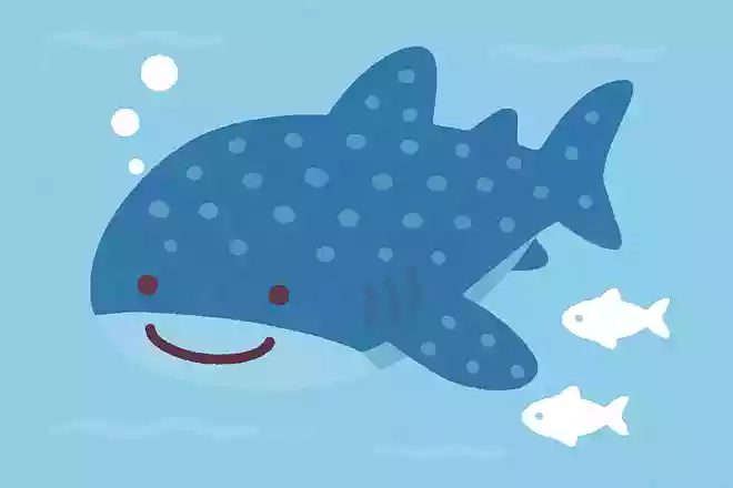 関西では唯一海遊館でのみ飼育されている人気のある生き物はなんでしょう?