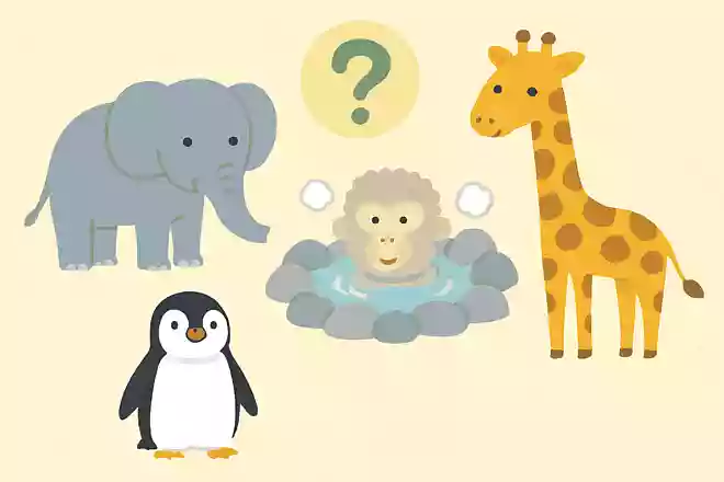 温泉が好きな動物は次のうちどれでしょうか?