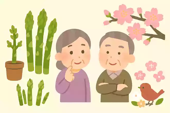 アスパラは元々観賞用だった