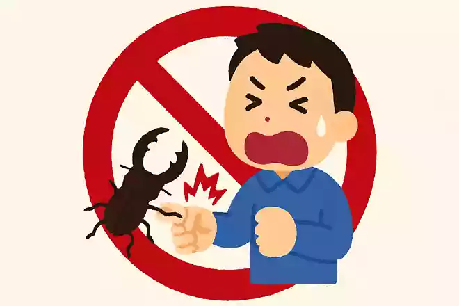 クワガタに挟まれてしまったときに、やってはいけないことは何でしょう?