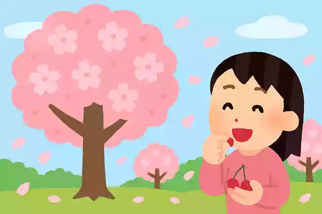 ソメイヨシノにも実はなるがおいしくない