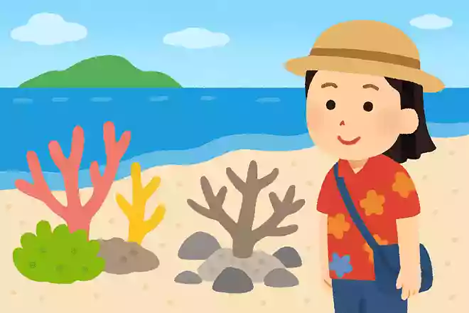 沖縄県に数多く生息するサンゴ礁ですが、死んでしまうとどうなるでしょうか?