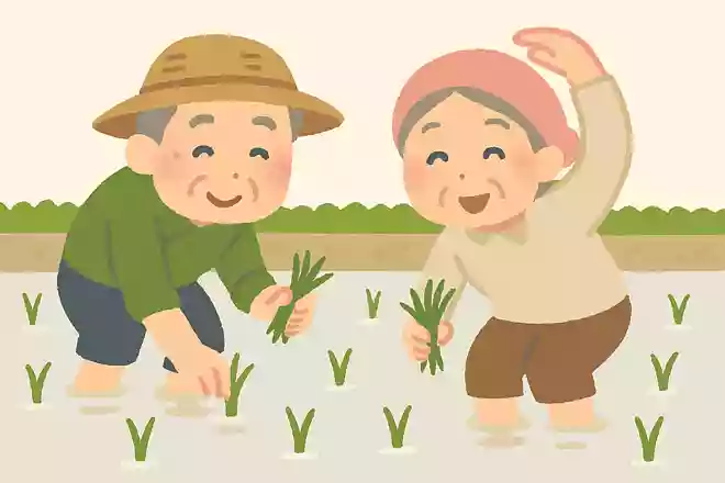 田植え