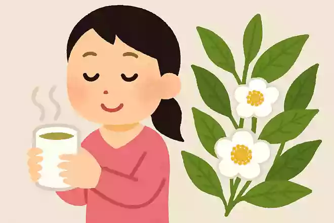 肌を滑らかにする効果があるとされるお茶はなんでしょう?