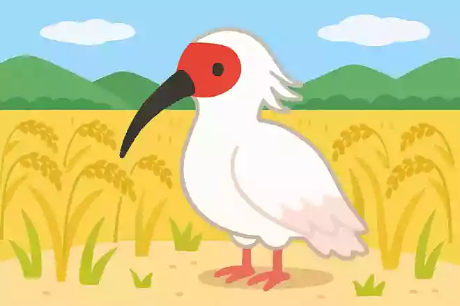 日本一の米どころで有名な新潟県。県の鳥に指定されている鳥は何というでしょうか?