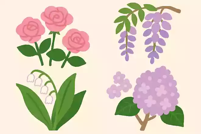 5月に良い香りがする花は何でしょうか?
